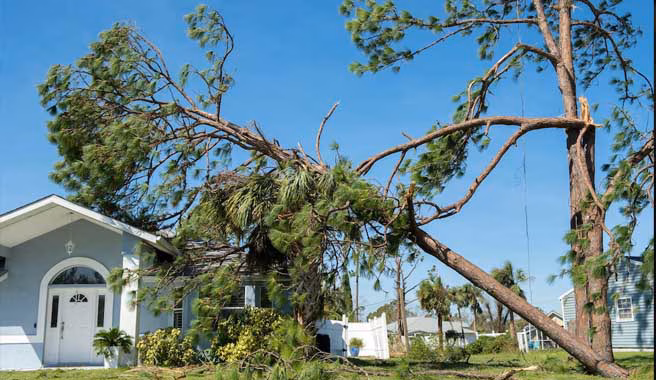 Make Safe and Emergency Repairs