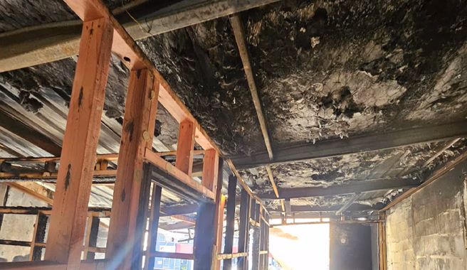 Fire and Smoke Damage